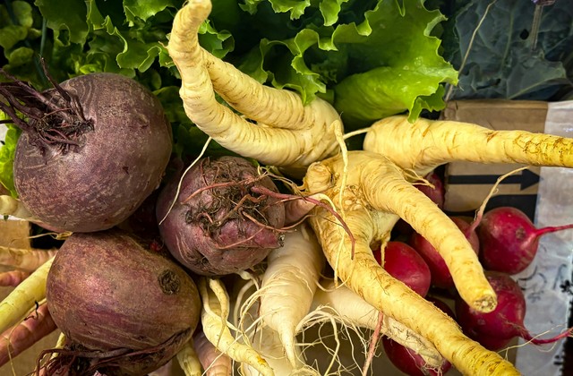 Agro Products Supplies